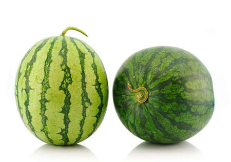watermelon isolated on whiite background の写真素材