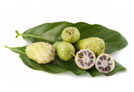 Noni fruits on white isolated backgroundの写真素材