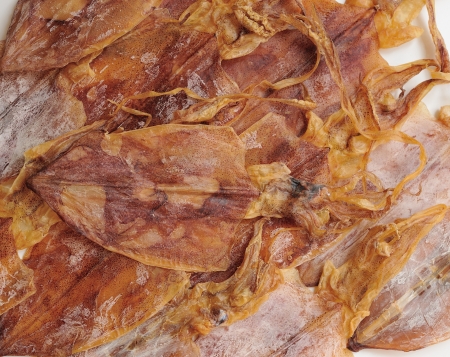 dry squid