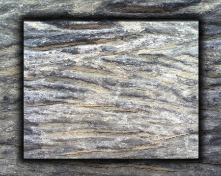 Old wood wall texture background 