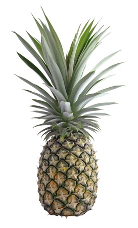 Fresh ripe pineapples isolated on white backgroundの写真素材