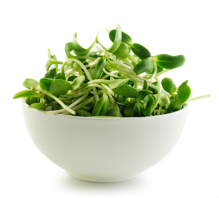 green young sunflower sprouts in the bowl  isolated on white backgroundの写真素材