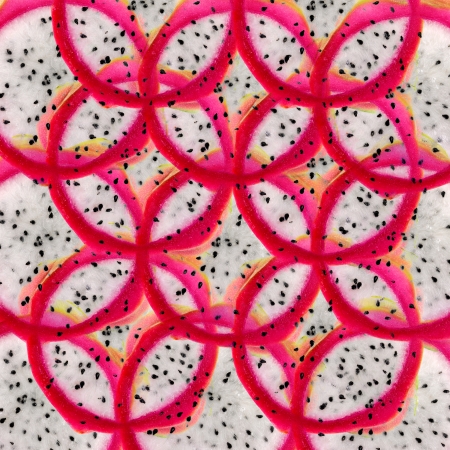 dragon Fruit  backgroundの写真素材