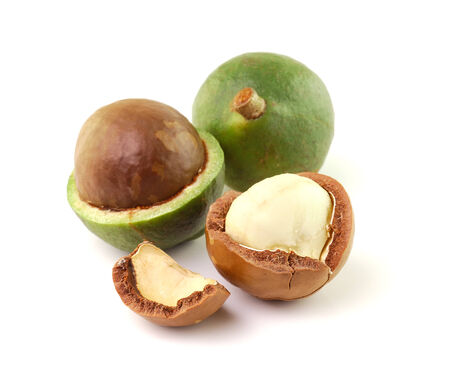macadamia nuts on white の写真素材