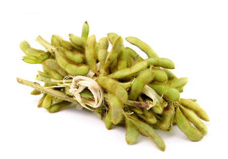Green soybeans isolated on a white backgroundの写真素材