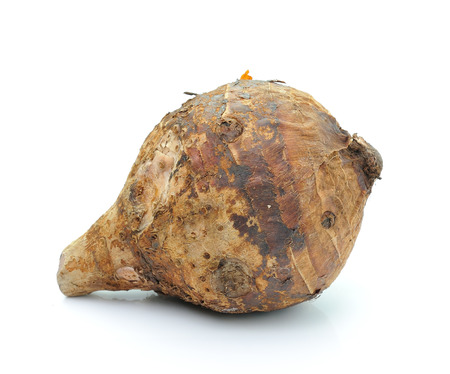 taro roots on white backgroundの写真素材