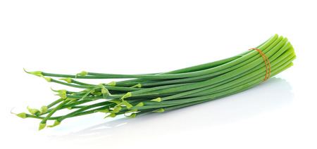  Onion Flowers, isolated on white backgroundの写真素材