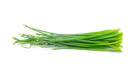 Onion Flowers, isolated on white backgroundの写真素材