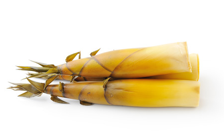 Bamboo shoot isolated on white backgroundの写真素材