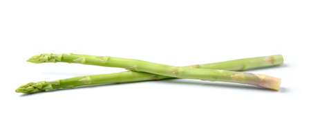asparagus on white backgroundの写真素材