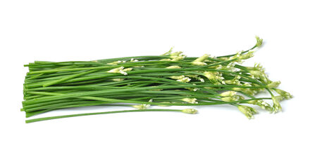 onion flower isolated on white backgroundの写真素材