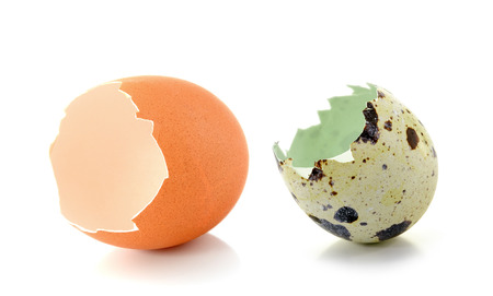 Broken eggshell  isolated on white background