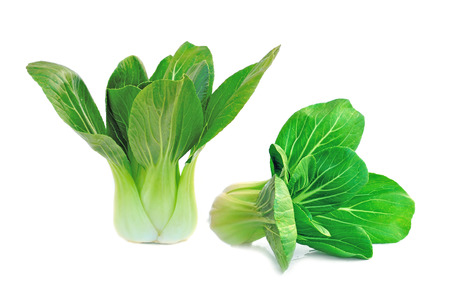 Organic bok choy on white backgroundの写真素材
