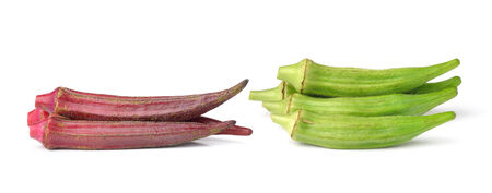 Hibiscus sabdariffa or roselle fruits isolated on white background