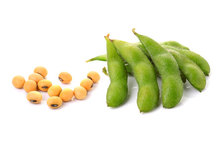 soybeans on white backgroundの写真素材