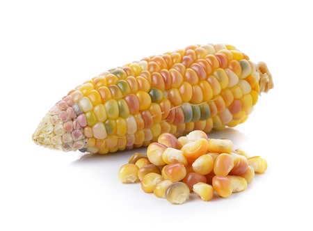 corn on white backgroundの写真素材