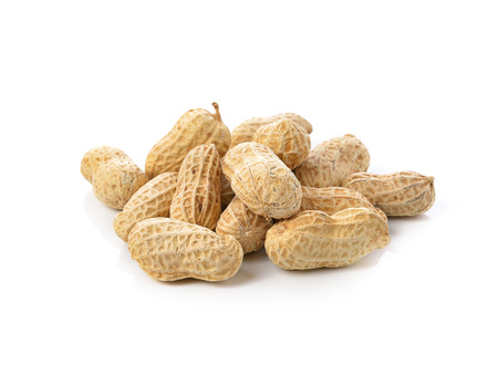 peanut on white background