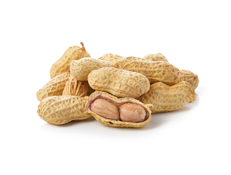 peanut on white background