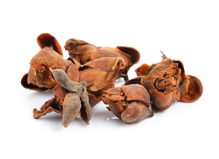 Indian rose chestnut herb on white backgroundの写真素材