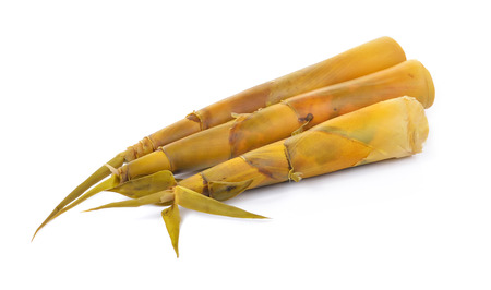 Bamboo shoot isolated on a white backgroundの写真素材