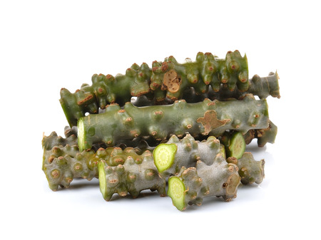 Tinospora cordifolia herb on white backgroundの写真素材