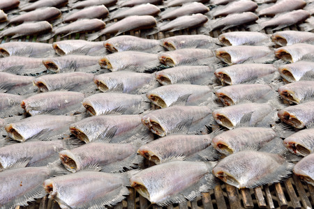Sun dried salid fish before cooking sell in the market in thailandの写真素材