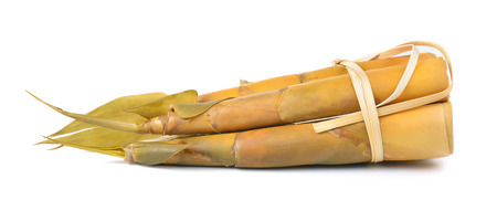 Bamboo shoot isolated on a white backgroundの写真素材