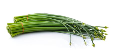 Green Onion on white backgroundの写真素材