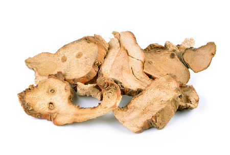 Dried Galangal on white backgroundの写真素材