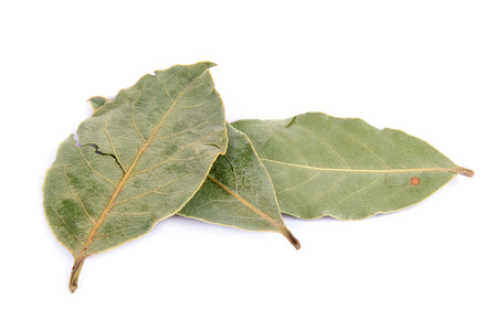 bay leaves on white  background