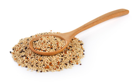 seed mixture in the wood spoon isolated on white background. Pet food for birdsの写真素材