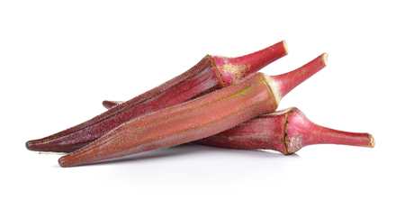 red roselle on white backgroundの写真素材