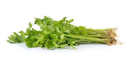 Fresh green celery isolated on white backgroundの写真素材