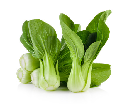 Bok choy vegetable on white backgroundの写真素材