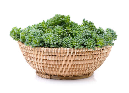 Broccoli in the basket
