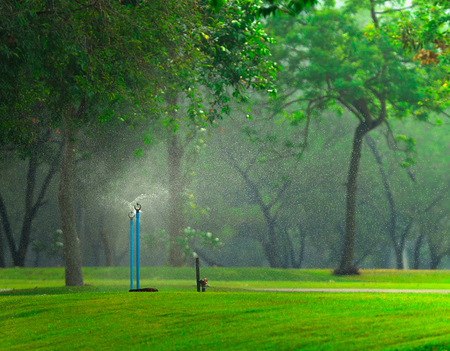 Springer water on grass fieldの写真素材