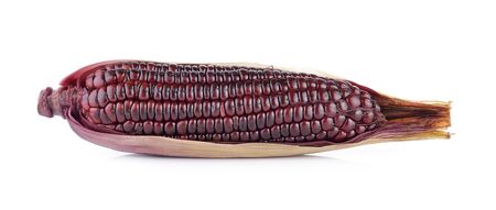 purple corn on white backgroundの写真素材