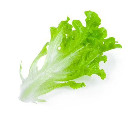 Salad leaf. Lettuce isolated on white backgroundの写真素材