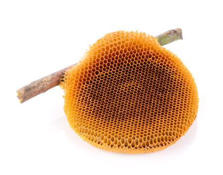 Honeycomb on white backgroundの写真素材