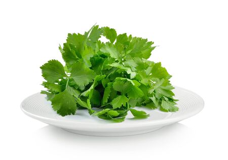 celery in plate on white backgroundの写真素材