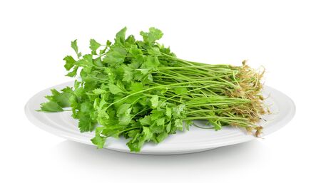 celery in white plate on white backgroundの写真素材