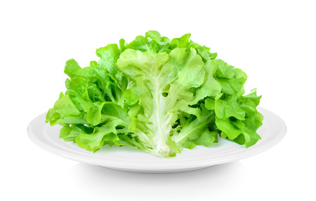Lettuce in plate on white backgroundの写真素材