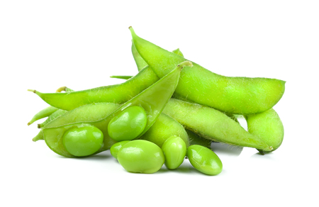 soybeans on white backgroundの写真素材