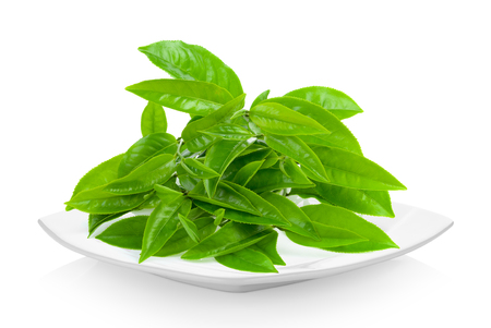 tea leaf in ceramic white plate on white backgroundの写真素材