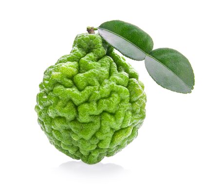 Bergamot isolated on white backgroundの写真素材