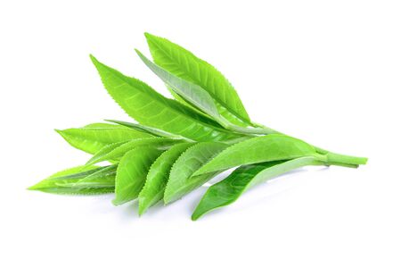 tea leaf isolated on white backgroundの写真素材