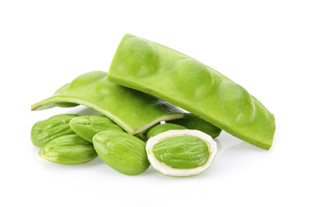 Bitter bean on white backgroundの写真素材