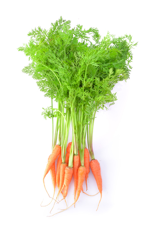 carrot with leaf on white backgroundの写真素材