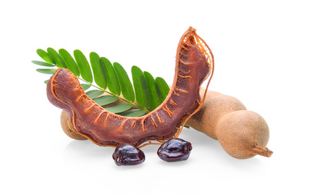 Tamarind on white backgroundの写真素材