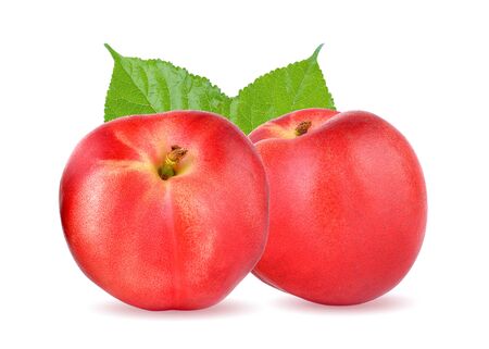 Peach on white backgroundの写真素材